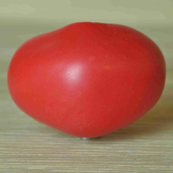 "Wibbelken"